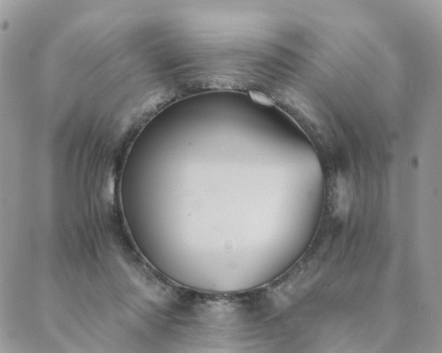 X0000089930310200706291204