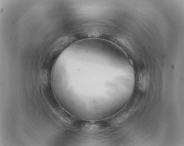 X0000089930311200706291204