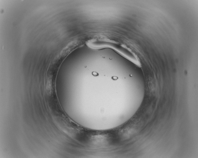 X0000089930312200706291204