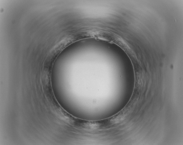 X0000089930313200706291204