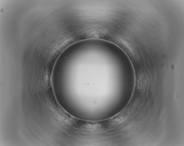 X0000089930314200706291204