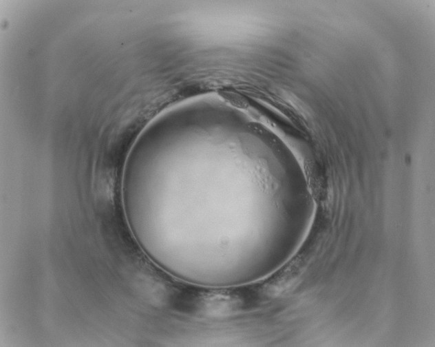 X0000089930315200706291204