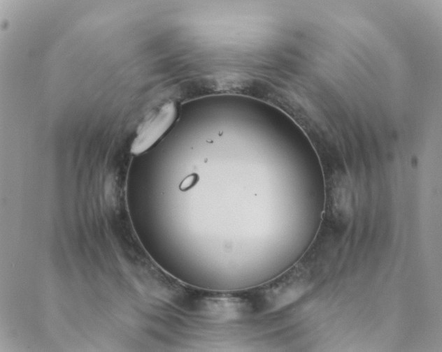 X0000089930316200706291204