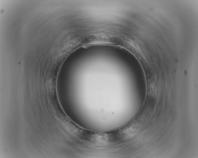 X0000089930317200706291204