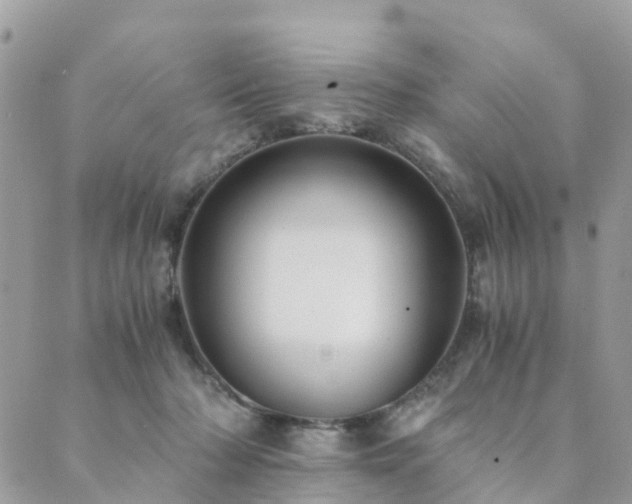 X0000089930318200706291204