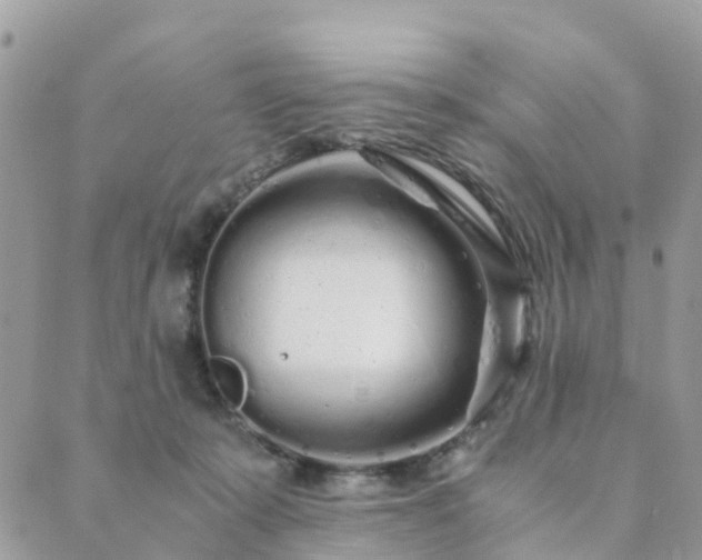 X0000089930319200706291204