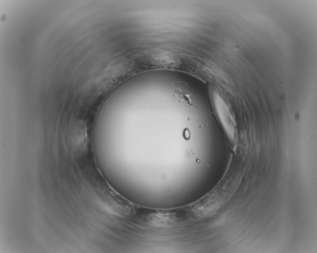 X0000089930320200706291204