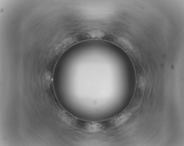 X0000089930321200706291204