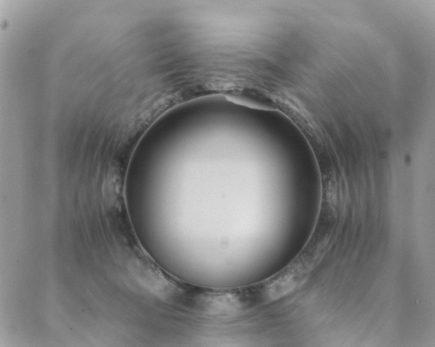 X0000089930322200706291204