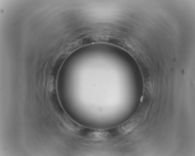 X0000089930323200706291204