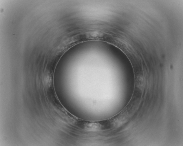 X0000089930324200706291204