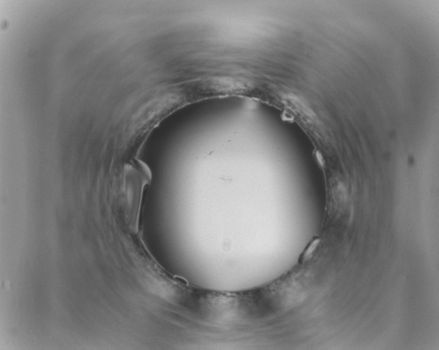 X0000089930325200706291204