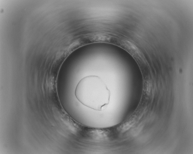 X0000089930326200706291204