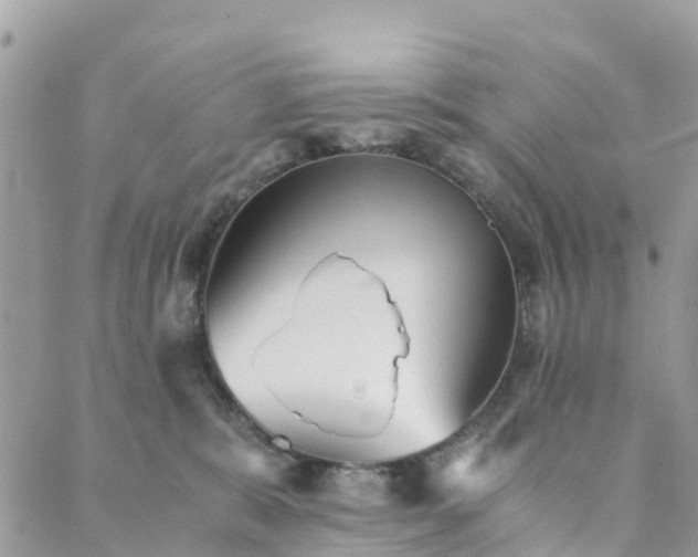 X0000089930327200706291204