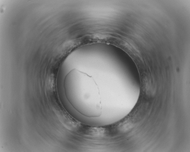 X0000089930328200706291204