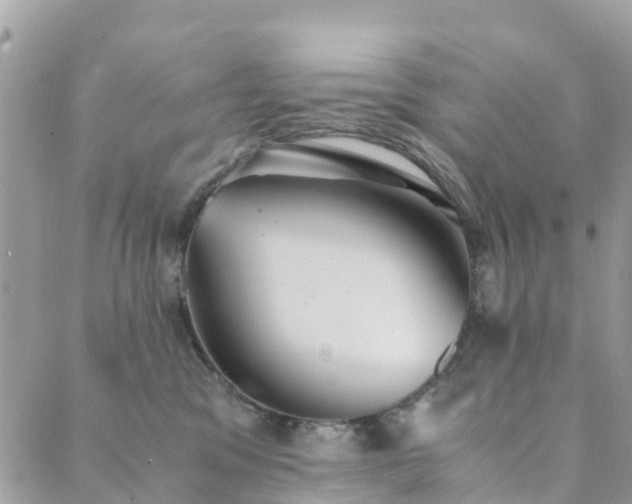 X0000089930329200706291204