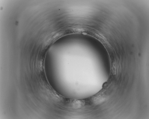 X0000089930330200706291204