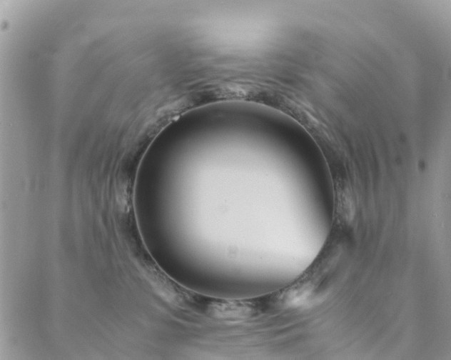 X0000089930331200706291204