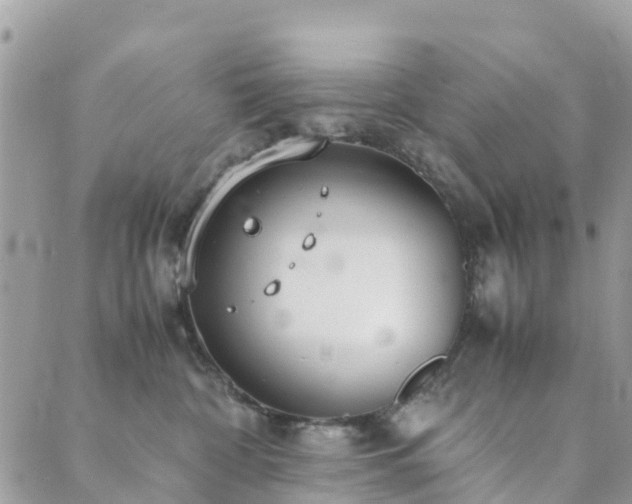 X0000089930332200706291204