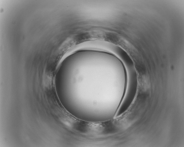 X0000089930333200706291204