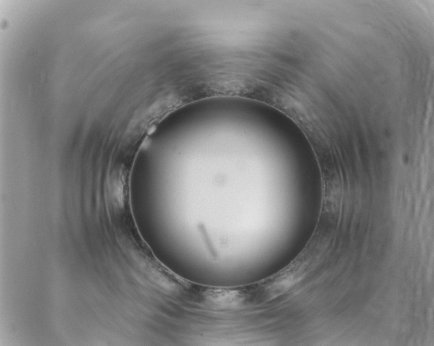 X0000089930334200706291204