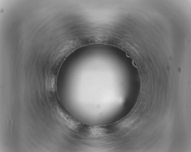 X0000089930336200706291204