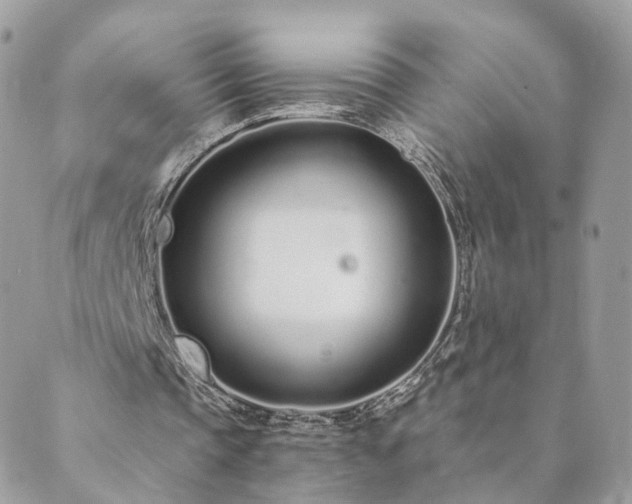 X0000089930337200706291203