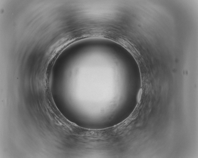 X0000089930338200706291203