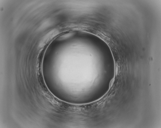 X0000089930339200706291203