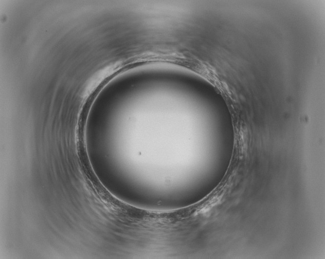 X0000089930340200706291203