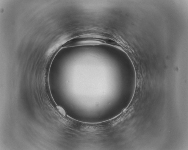 X0000089930341200706291203