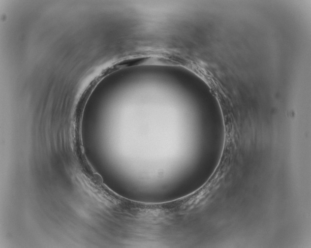 X0000089930342200706291203