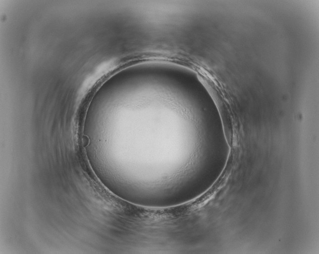 X0000089930343200706291203