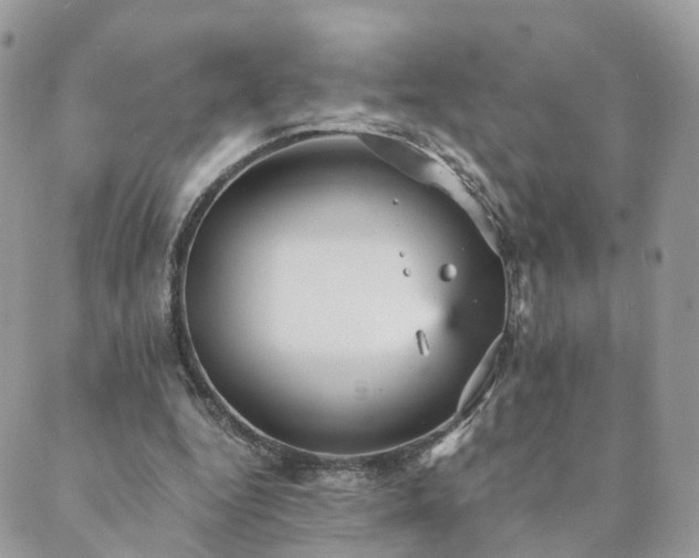 X0000089930344200706291203