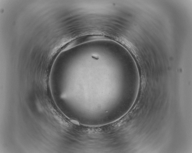 X0000089930345200706291203