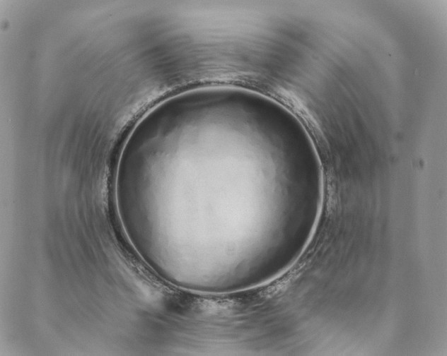 X0000089930346200706291203