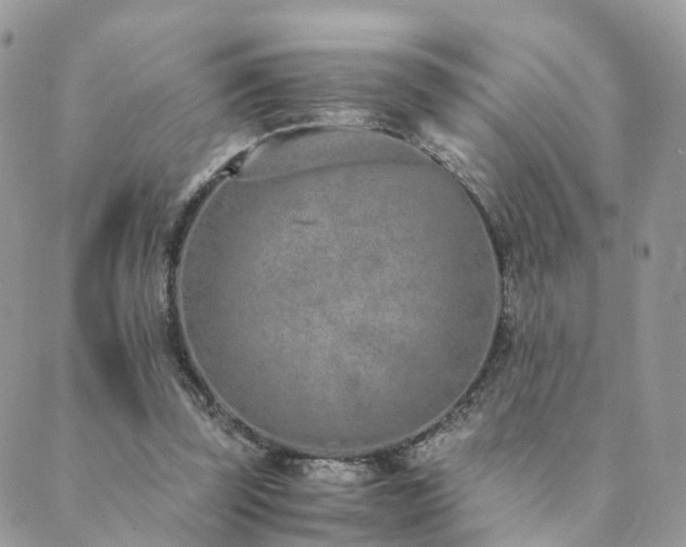 X0000089930347200706291203