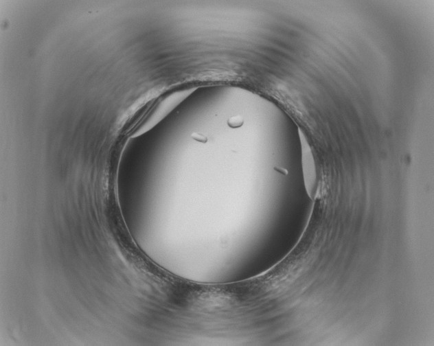 X0000089930348200706291203