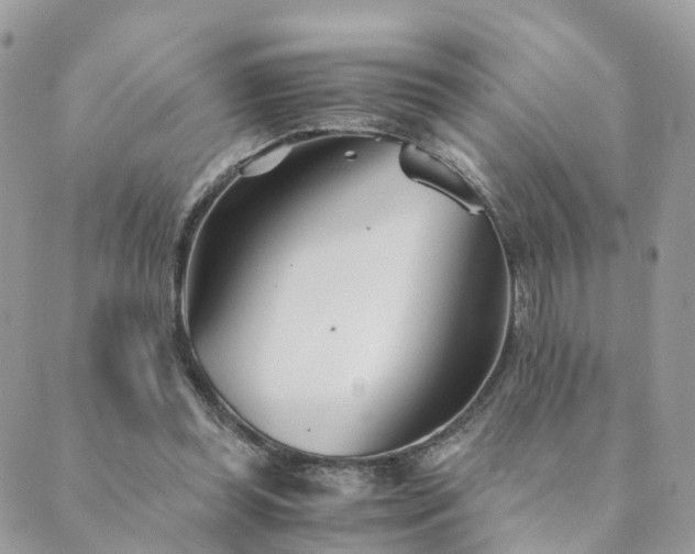 X0000089930349200706291203