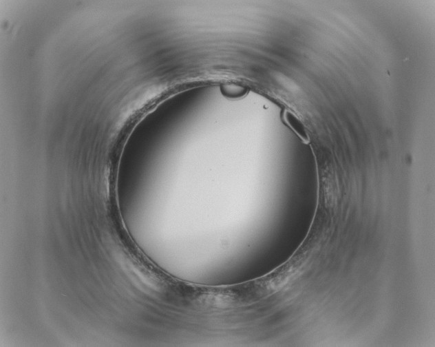 X0000089930350200706291203