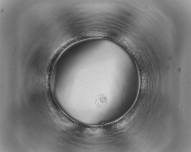 X0000089930351200706291203