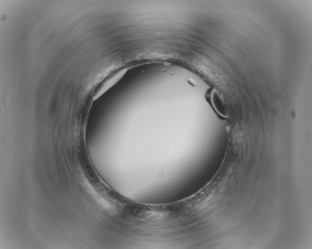 X0000089930352200706291203