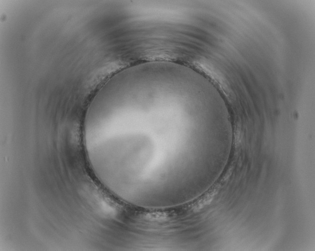 X0000089930353200706291203