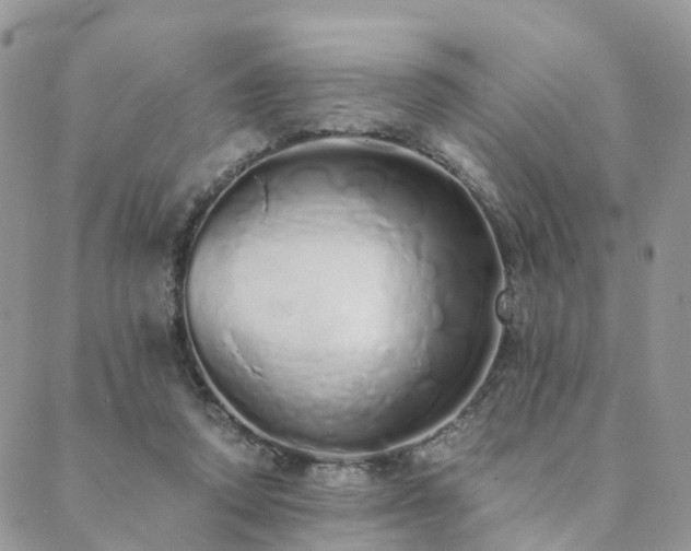 X0000089930354200706291203