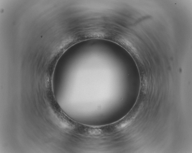 X0000089930355200706291203