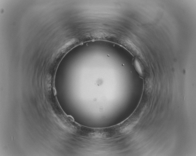 X0000089930356200706291203