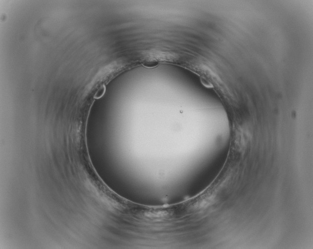 X0000089930357200706291203