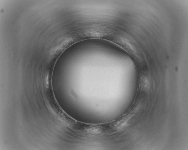 X0000089930358200706291203