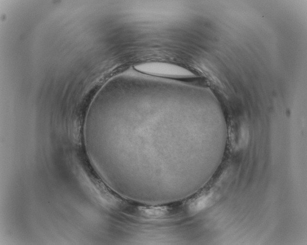 X0000089930359200706291203