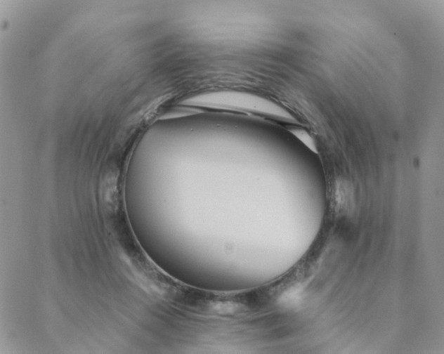 X0000089930360200706291203